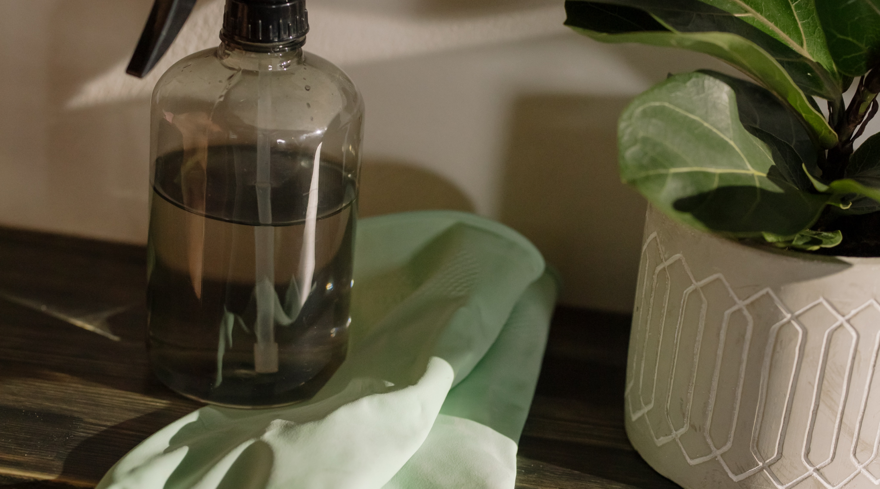 Homemade, Natural Mold & Mildew Remedy